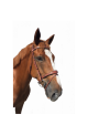 Bridon fancy cavaletti