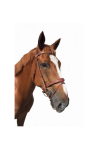 Bridon fancy cavaletti