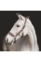 Licol Dyon pour chevaux