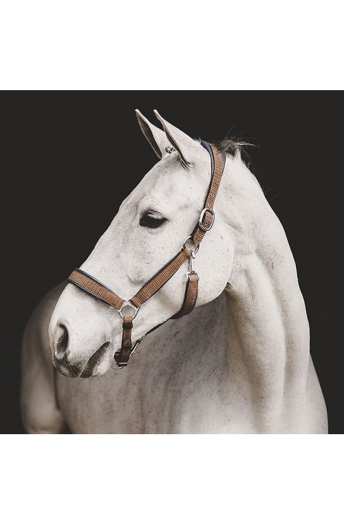 Licol Dyon pour chevaux