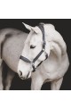 Licol Dyon pour chevaux