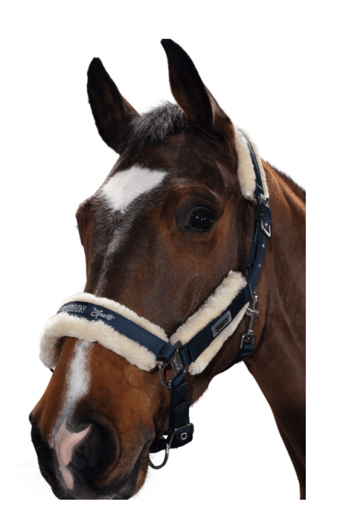 Licol Smart Nylon & Cuir avec longe - DLS EQUITATION