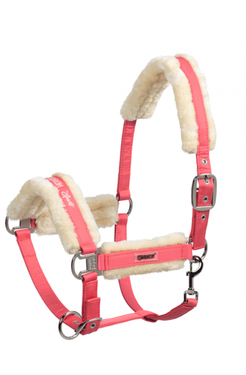 Licol Stars Cheval de Trait HKM avec doublure soft