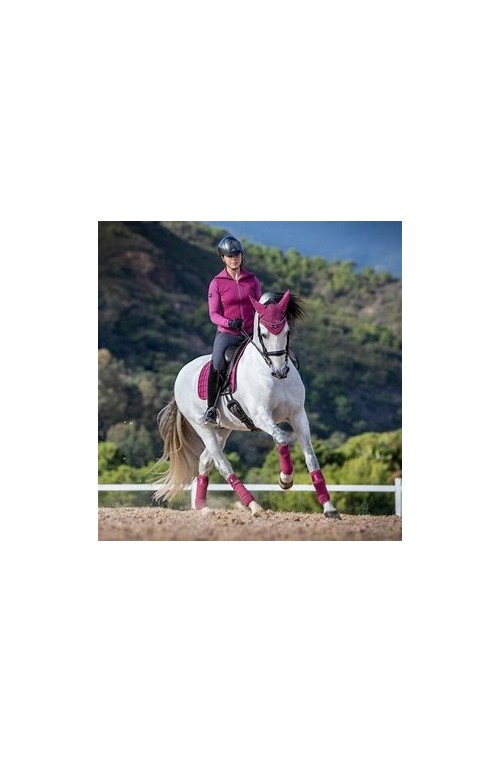 Tapis Lemieux Loire Dressage