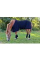 Polaire Horse Impact