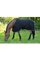 Polaire Horse Impact