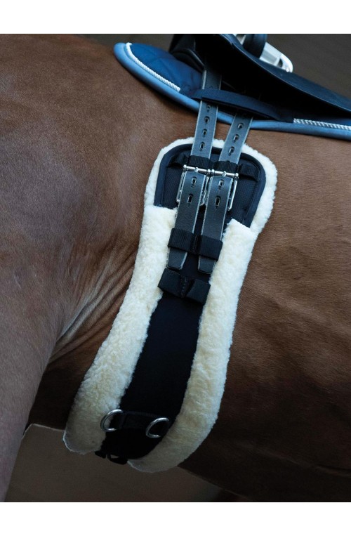 Sangle Dressage Busse Mouton