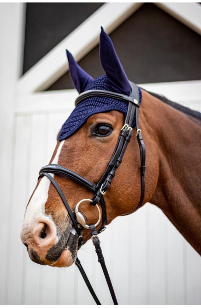 Bridon Classique Harcour - Harcour - Equipement équitation, cavalie