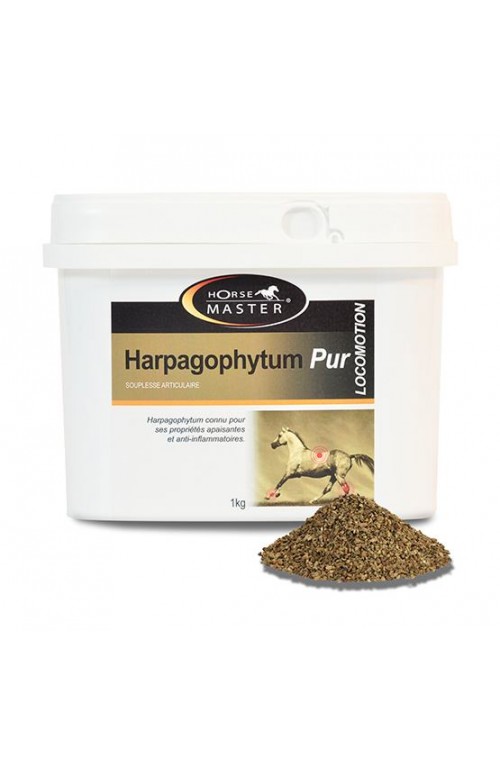 Harpagophytum semoule 1kg