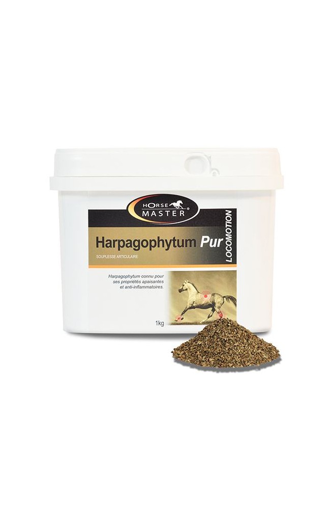 Harpagophytum semoule 1kg