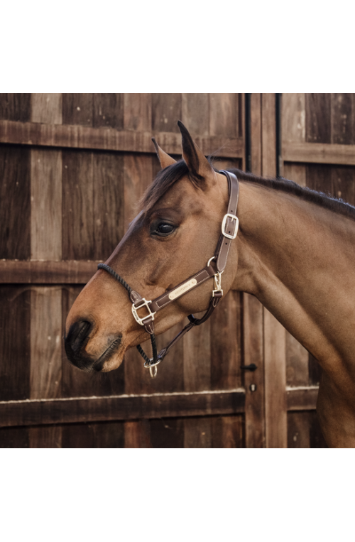 Licol kentucky rope cuir marron/cob
