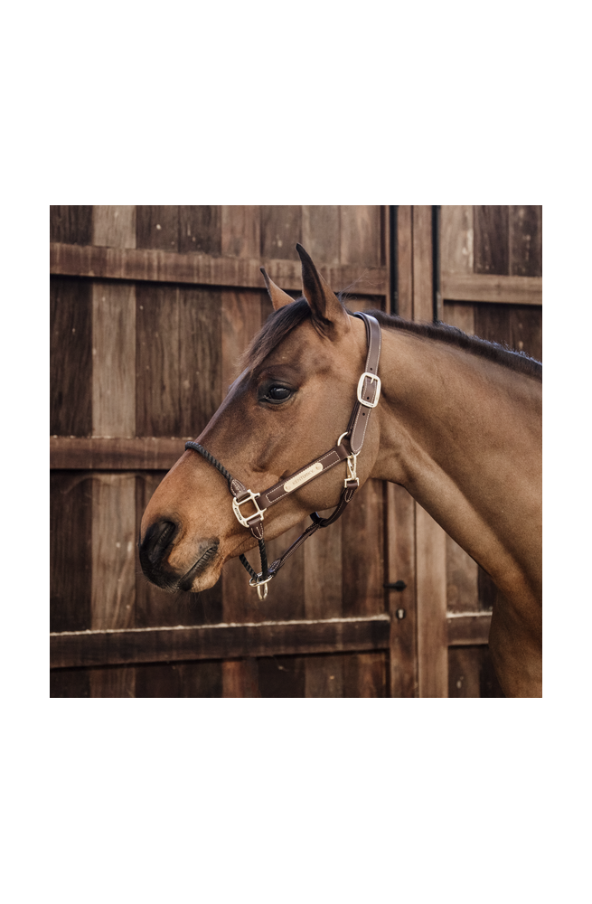 Licol kentucky rope cuir marron/cob