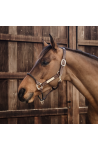 Licol kentucky rope cuir marron/cob