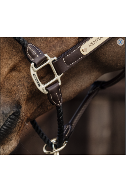 Licol kentucky rope cuir marron/cob