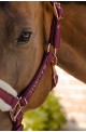 Licol harcour holly bordeaux/cob
