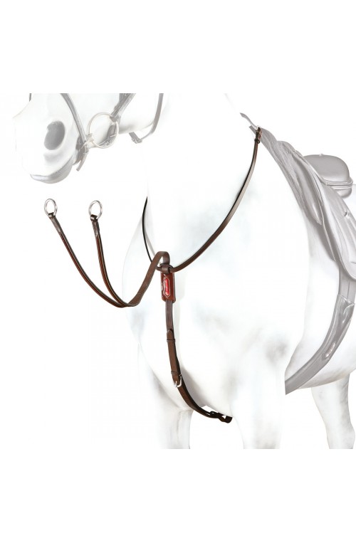 Martingale vernis equipe